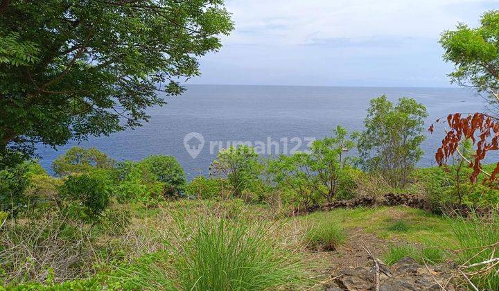 Tanah Los Tebing Pantai Super Keren Cocok Investasi Harga Murah 