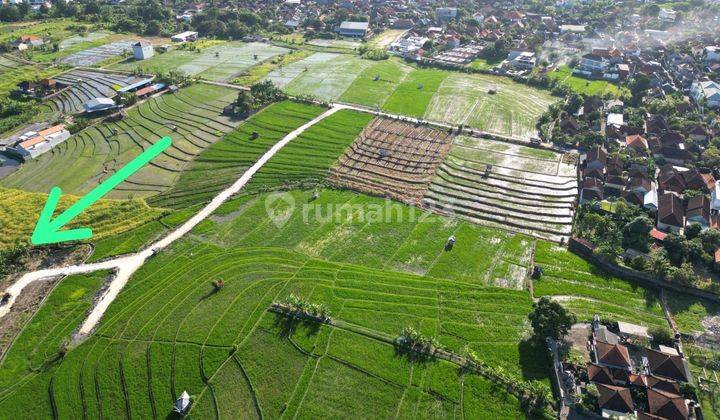 TANAH UKURAN KECIL DI DAWAS CANGGU VIEW SAWAH COCOK VILLA 1