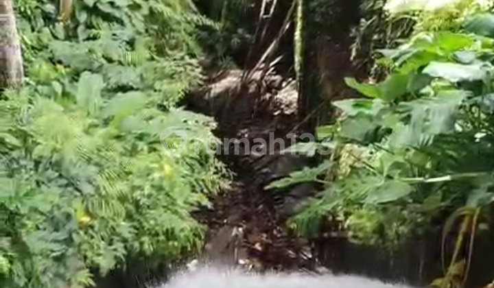 Tanah Kecil di Central Ubud View Hutan Sungai Air Terjun