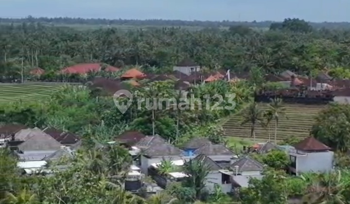 Cheap Bajera Land Ready to Build Good Location
