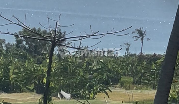 Land View of Rice Fields, Virgin Beach, Hills, Karangasem