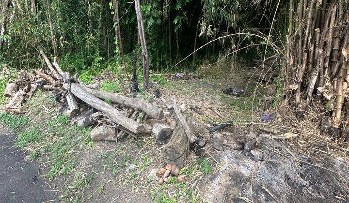 Tanah View Sungai Hutan Cocok Kavling Atau Komplek Villa 2