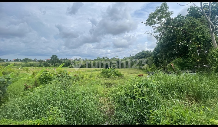 Cheap Land in Bongan Tabanan Ready to Build a Villa House