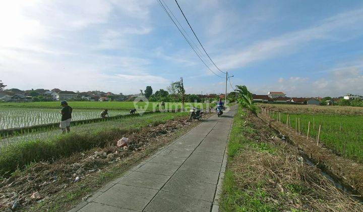 TANAH DEKAT PANTAI BERAWA CANGGU VIEW SUNGAI  1