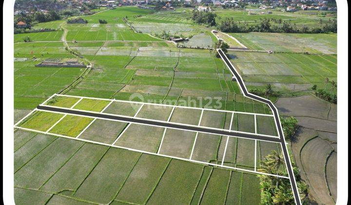 TANAH VIEW CANTIK DEKAT PANTAI PERERENAN CANGGU 1