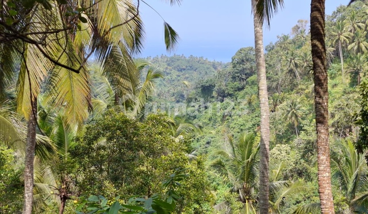 Tanah Ocean View Pantai Balian Selemadeg Tabanan Tanah Ocean View Pantai Balian Selemadeg Tabanan