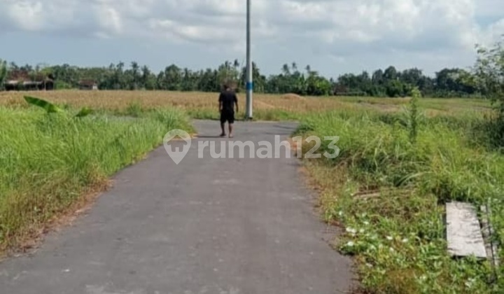 Tanah Siap Bangun Di Sibang Harga Nego Jlan Bgus