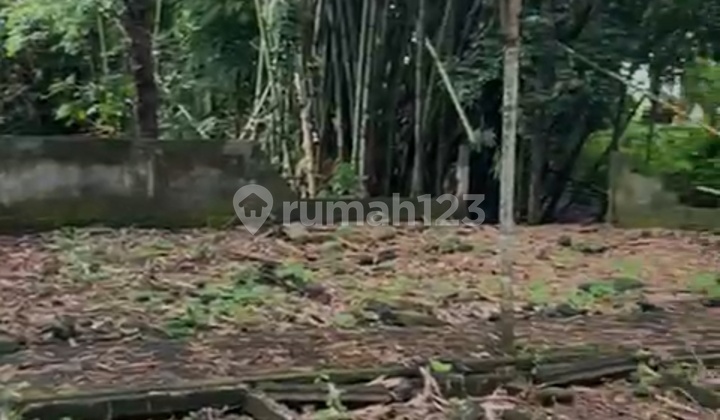 Tanah Termurah Zona Kuning Mas Ubud Cocok Kavling Tanah Termurah Zona Kuning Mas Ubud Cocok Kavling