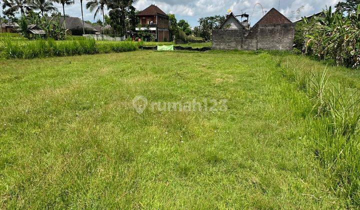 Tanah Cocok Vila Rental View Sawah Dekat Jalan Utama 1