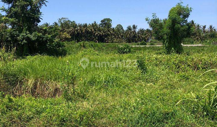 TANAH UKURAN KECIL ZONA KUNING DEKAT CENTRAL UBUD 1