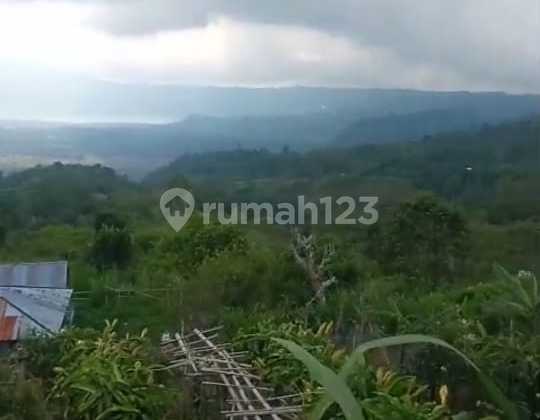 For Sale: Large and Wide Land in Kintamani with Mountain and Valley View
