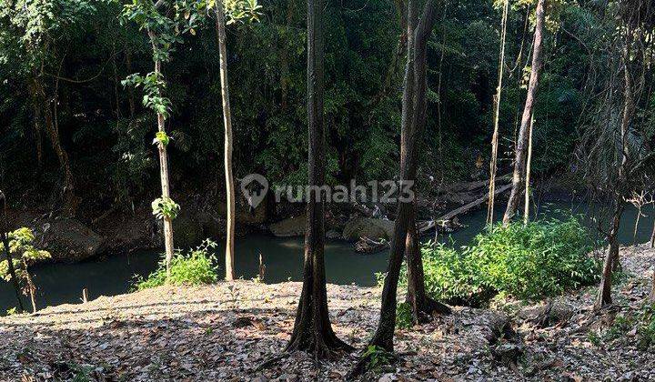 Tanah Los Sungai Hutan Keren Cocok Bisnis Villa Resort Spa  2