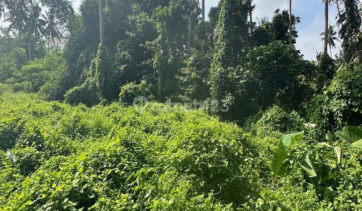 Tanah Zona Kuning Super Murah Di Pejeng View Sungai  1