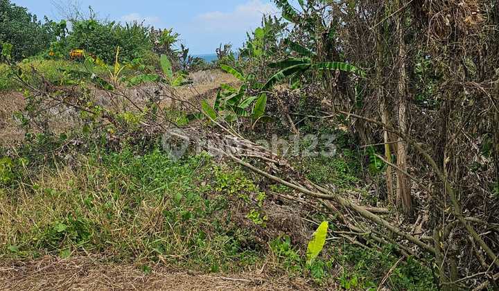 Dijual Tanah Lokasi Pantai Yeh Gangga Tabanan Bagus Luas