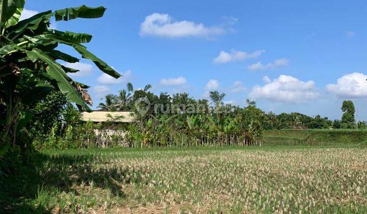 TANAH ZONA KUNING SIAP BANGUN VILLA VIEW SAWAH 2