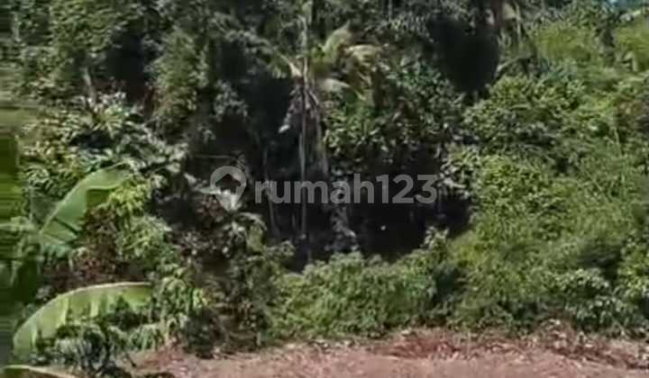 Dijual Tanah di Pejeng Ubud View Hutan dan Sungai