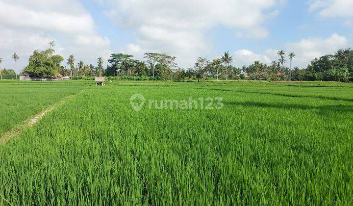 PINK ZONE LAND SUITABLE FOR VILLA RENTAL BEAUTIFUL VIEW 1