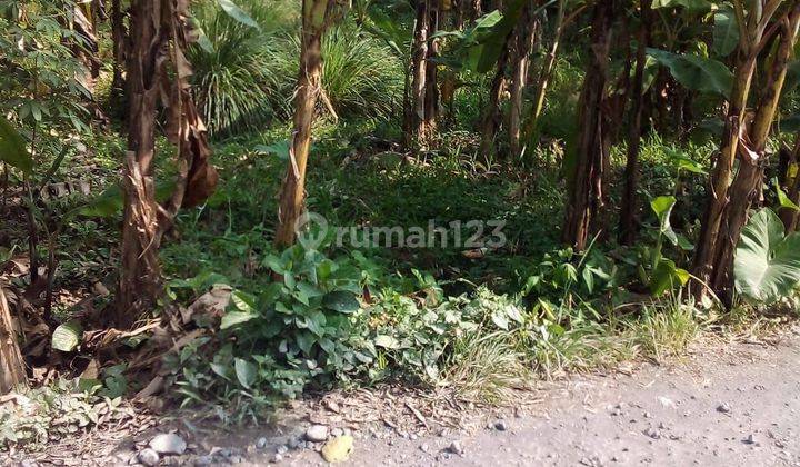 TANAH ZONA KUNING SIAP BANGUN VILLA RENTAL DI SAYAN UBUD  1