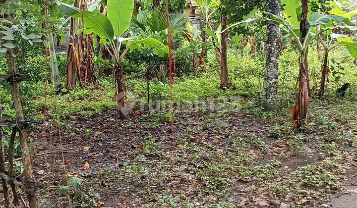 Cheap Rental Land Suitable for Villa Rental Business Ubud