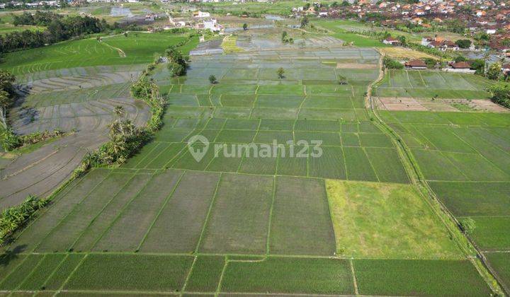 TANAH VIEW CANTIK DEKAT PANTAI PERERENAN CANGGU 2