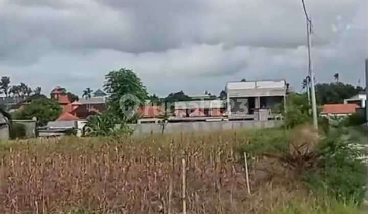 Cheap Land For Rent In Kerobokan, Strategic, Large, Special Cheap Land For Rent In Kerobokan, Strategic, Large, Special