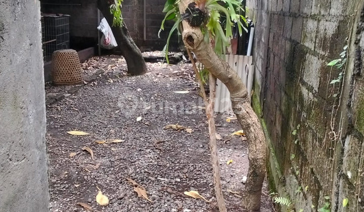 Tanah Murah Panjer Lokasi Strategis Siap Bangun Jl Motor