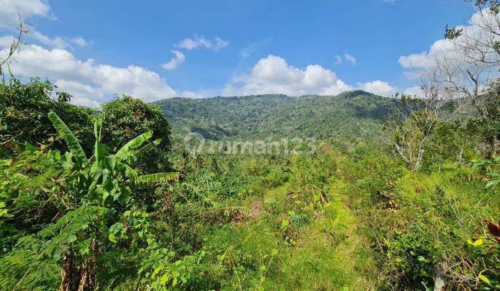 CHEAP LAND WITH COOL VIEW SUITABLE FOR LONG TERM INVESTMENT 1