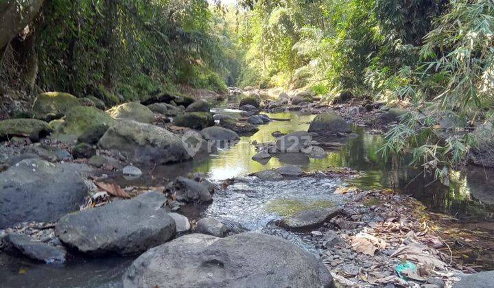 COOL LOS SUNGAI LAND IN BUWIT SUITABLE FOR VILLA RENTAL 1