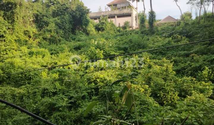 Tanah Murah Dekat Fourseason Jimbaran Bali Hotel Tanah Murah Dekat Fourseason Jimbaran Bali Hotel