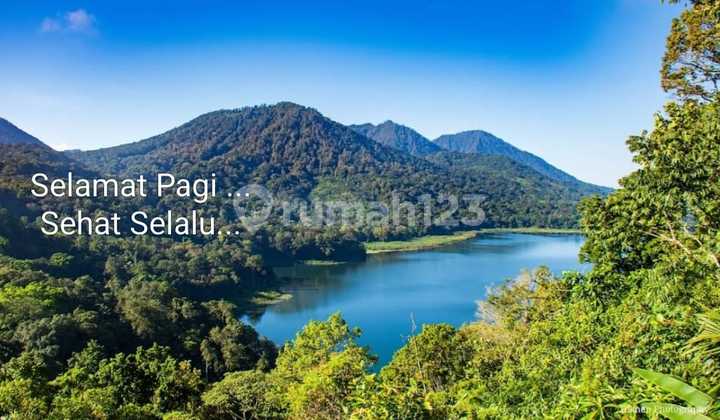 Selling Land with Beautiful View, Cool Air, Cheap Price Only Selling Land with Beautiful View, Cool Air, Cheap Price Only