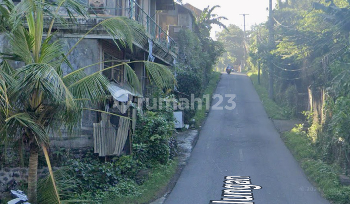 3-Story Shop House for Rent, 11 Are Land, Minimum 5-Year Lease 2