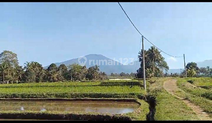 LAND VIEW MOUNTAIN FIELD CHEAP PRICE COOL AIR 1