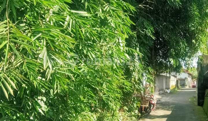 Tanah Sewa Sayan Ubud View Hutan Zona Kuning Tanah Sewa Sayan Ubud View Hutan Zona Kuning