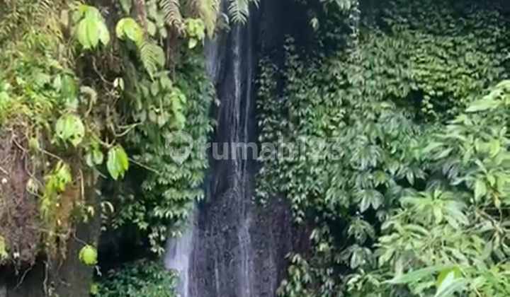 Tanah Murah Untuk Hotel Resort View Air Terjun Hutan 