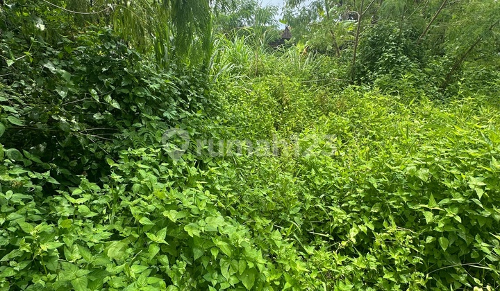 Tanah Zona Kuning di Mas Ubud Lingkungan Villa