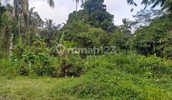 Jual Tanah Murah Di Keliki Ubud Bagus Strategis