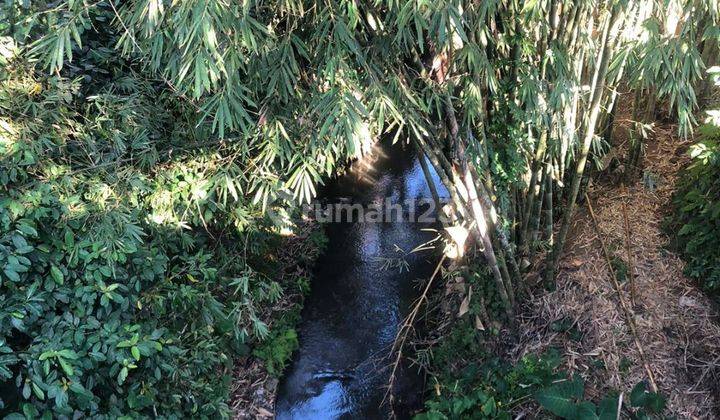 TANAH LOS SUNGAI KEREN COCOK KOMPLEK VILLA UBUD 1