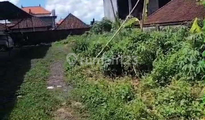 Super Cheap Land in Yellow Zone Ready to Build in Ubud Super Cheap Land in Yellow Zone Ready to Build in Ubud