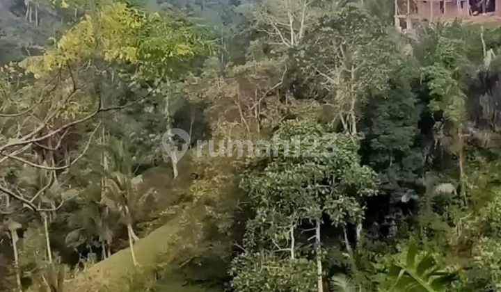 Cheap Land Suitable for Villa Private Garden Cool View