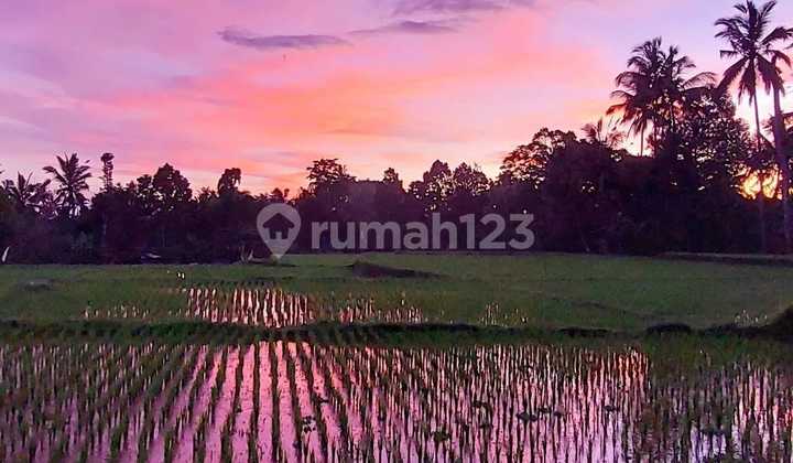 Tanah Central Ubud View Sawah Hutan Zona Pink
