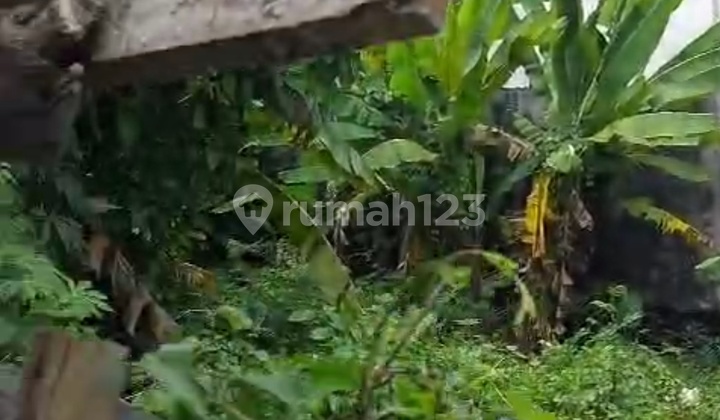Tanah Siap Bangun Canggu Padonan Zona Kuning 