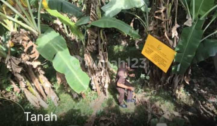 Dijual Tanah Murah Di Sekar Jepun Denpasar Timur Dijual Tanah Murah Di Sekar Jepun Denpasar Timur