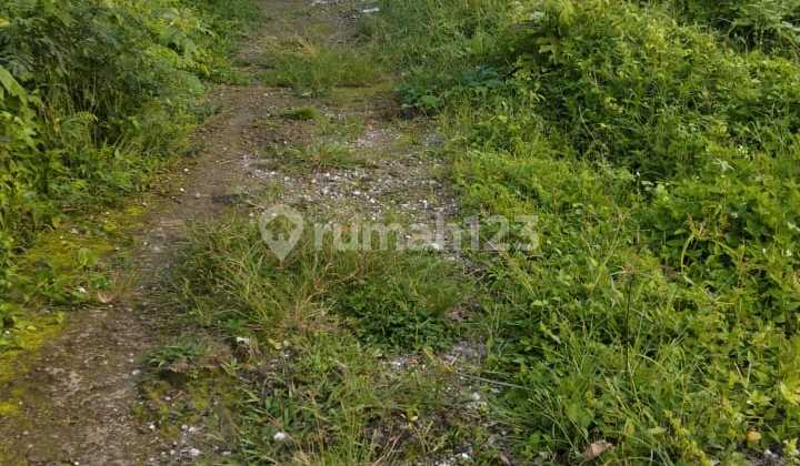 Cheap Land for Rent in a Strategic Location in Lodtunduh Ubud