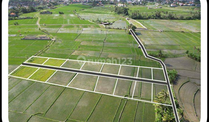 TANAH VIEW SAWAH DEKAT PANTAI PERERENAN CANGGU 1