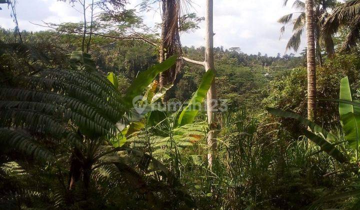 TANAH VIEW LEMBAH HUTAN CANTIK COCOK RESORT 1