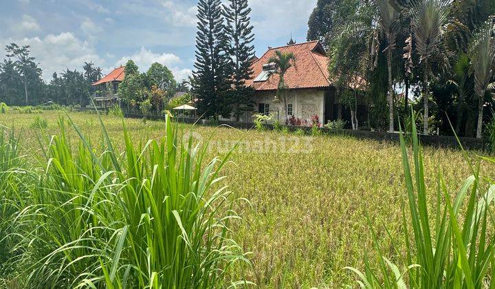 Tanah View Keren Cocok Villa Harga Murah  2