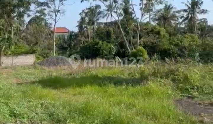 Tanah View Sungai Hutan Cocok Vila Rental Lokasi Bagus 