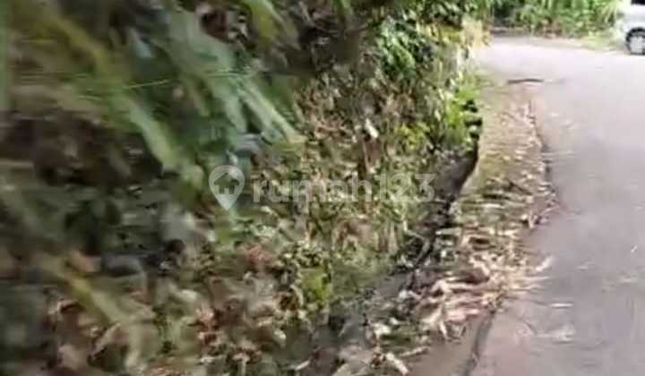 Disewakan Tanah Di Mawang Lodtunduh Ubud Disewakan Tanah Di Mawang Lodtunduh Ubud