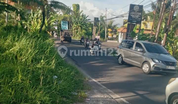 Land on Jln Utama Munggu Tanah Lot, Suitable for Villas, Hotels, Restaurants, etc.