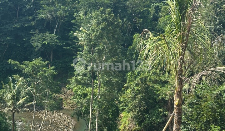 Tanah River View Cantik Cocok Vila Pribadi Lokasi Tenang